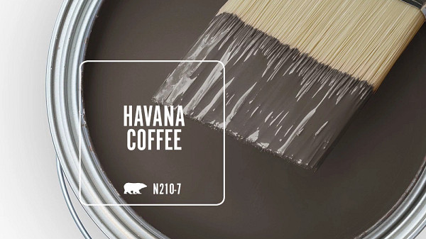 Behr Exterior Semi-gloss Enamel Paint in Havana Coffee colour
