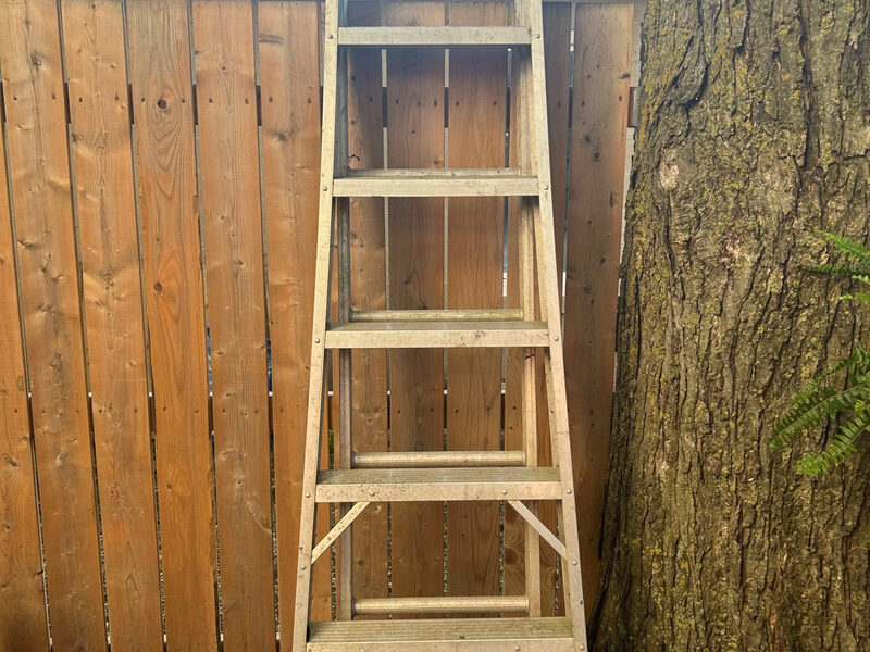 Used ladder