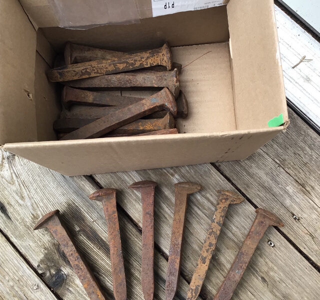 20 Railway Spikes