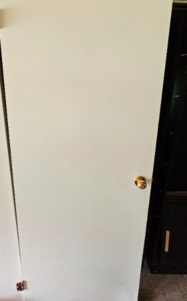 32x80 Doors for sale.