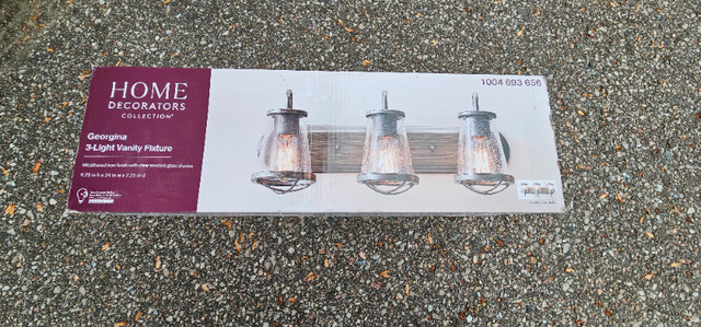 Home Decorators CollectionGeorgina 24 in. 3-Light Vanity Light
