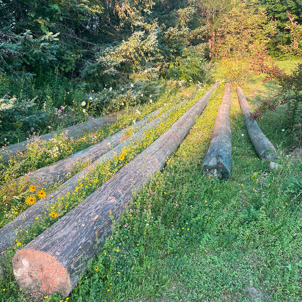 Hydro poles for sale